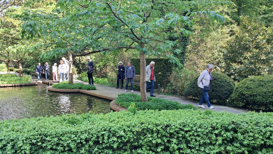 Eine Gruppe von Menschen spaziert entspannt auf einem gepflasterten Weg entlang eines ruhigen Teiches in einem grünen, sonnigen Park.