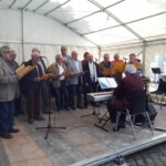 © Norbert Halverkamps