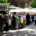 © Norbert Halverkamps