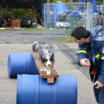 © THW / Daniel Claus