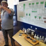 © Norbert Halverkamps