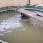 © Norbert Halverkamps