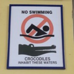 © Norbert Halverkamps