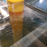 © Norbert Halverkamps