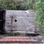 © Norbert Halverkamps