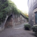 © Norbert Halverkamps