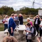 © Norbert Halverkamps